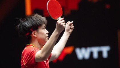 开云体育登录-新加坡赛马龙再“挑战”王楚钦 梁靖崑延续好状态