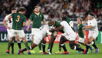 【专栏】王勤伯：人生最美是猴戏