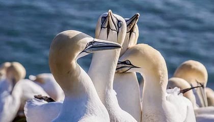 星空体育官方网站——开启您的极致体育体验