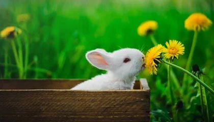 bob半岛体育：让海风与汗水同行的健身新纪元